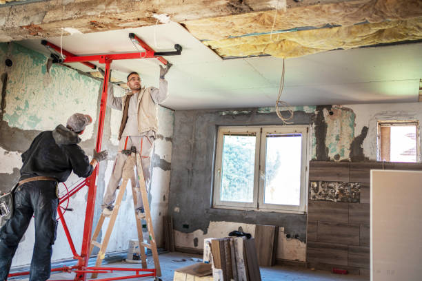 Best Professional Insulation Contractor  in Asotin, WA
